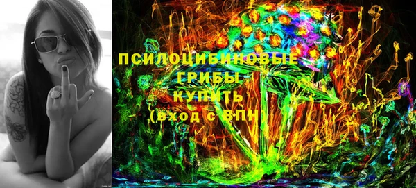 ПСИЛОЦИБИНОВЫЕ ГРИБЫ Алексеевка